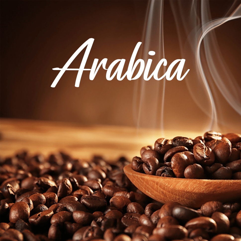 Arabica Beans
