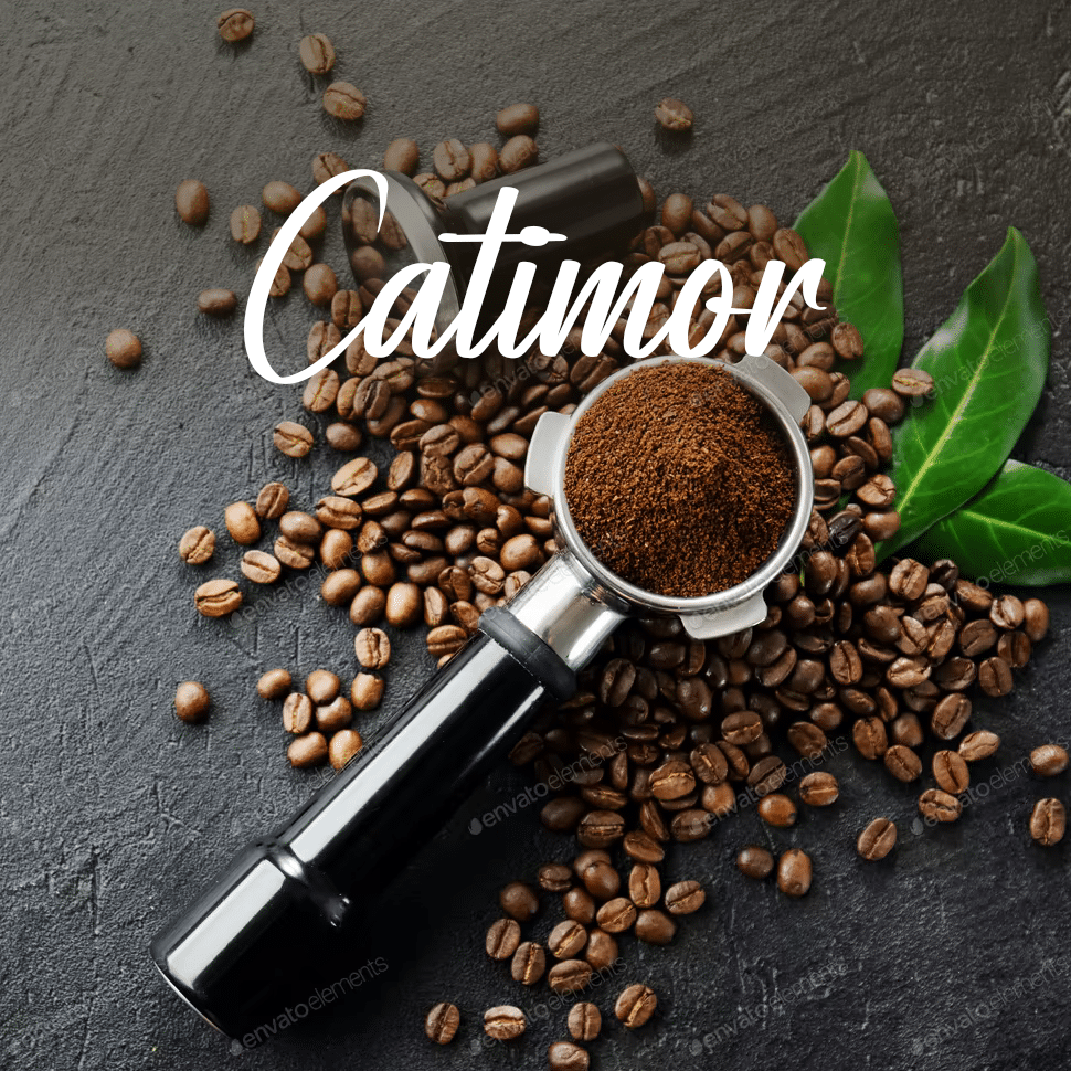Catimor Coffee Beans