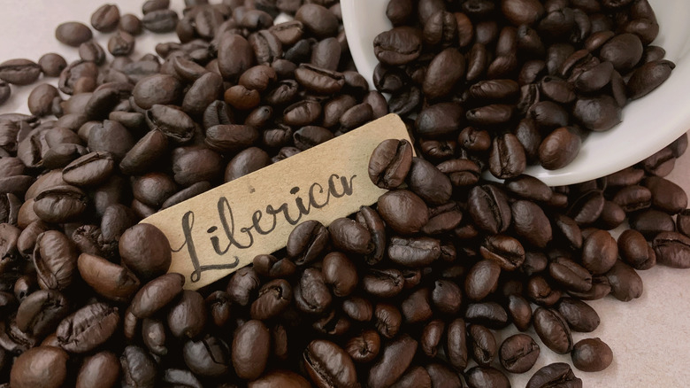Liberica Beans