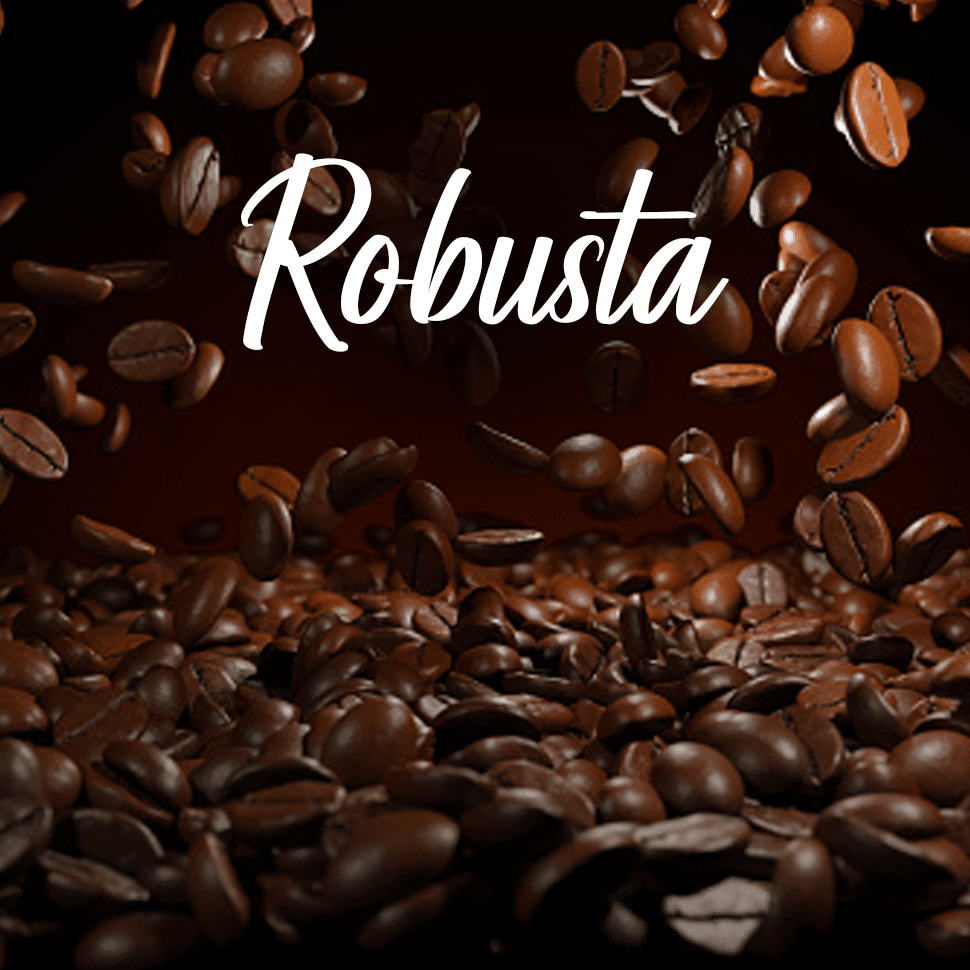 Robusta Beans